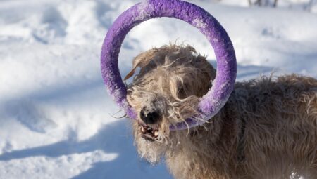 Rüya Tabirleri: Rüyada Dağ Görmek ve Zorlukların Anlamı