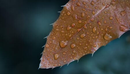 Rüya Tabirleri: Rüyada Yağmur Görmek ve Bereket Mesajı